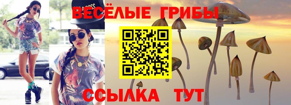 Псилоцибиновые грибы мухоморы Сургут